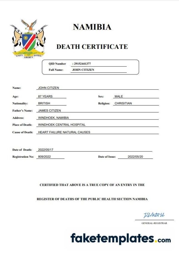 fake Namibia vital record death certificate download Word and PDF template