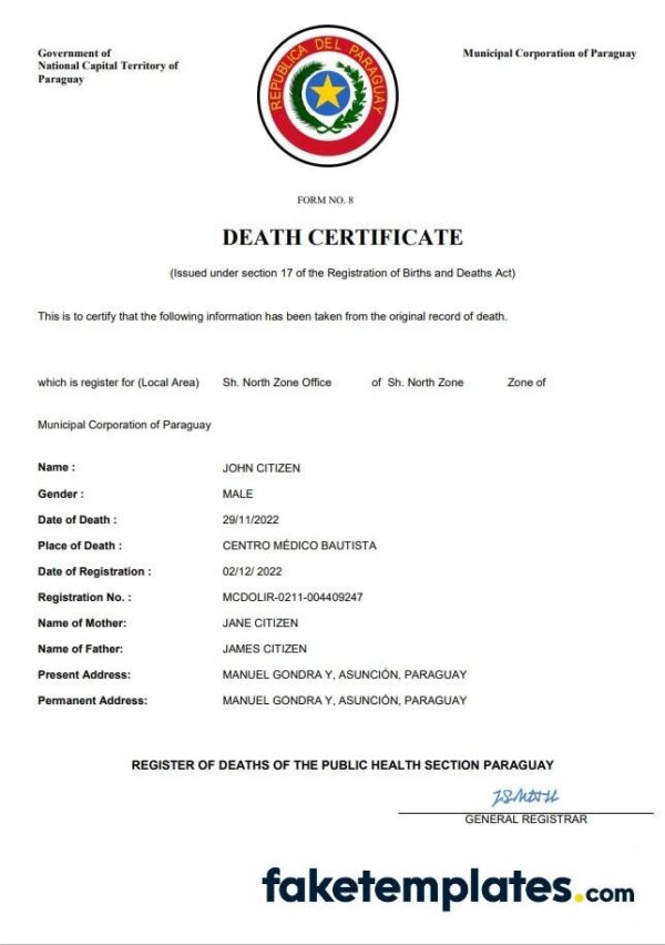 fake Paraguay death certificate download Word and PDF template | completely editable