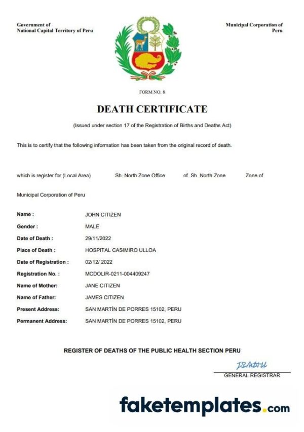 fake Peru vital record death certificate download Word and PDF template