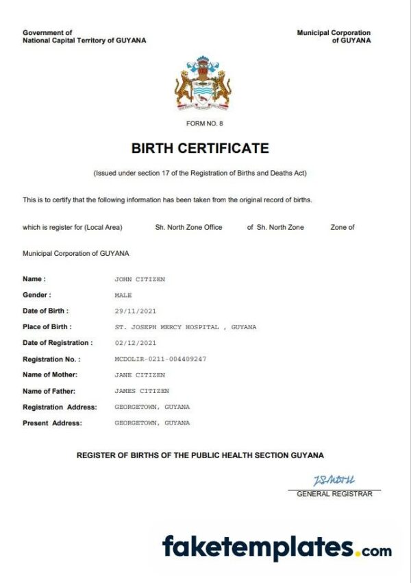 fake Guyana vital record birth certificate download Word and PDF template | completely editable