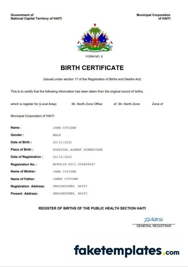 fake Haiti vital record birth certificate download Word and PDF template | completely editable