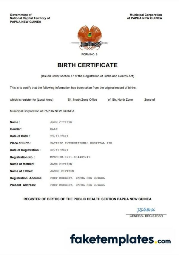 fake Papua New Guinea vital record birth certificate download Word and PDF template | completely editable