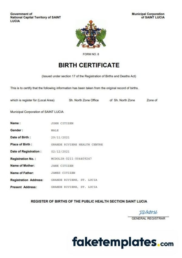 fake Saint Lucia birth certificate download Word and PDF template | completely editable