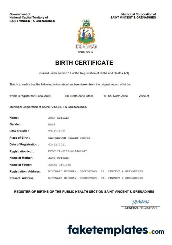 fake Saint Vincent & Grenadines vital record birth certificate download Word and PDF template | completely editable