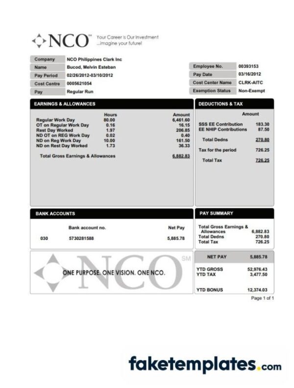 fake NCO paystub download Word and PDF template