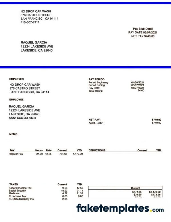 fake NO DROP CAR WASH pay stub download Word and PDF template