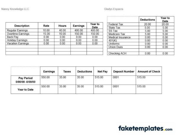 fake Nanny Knowledge LLC pay stub download Word and PDF template