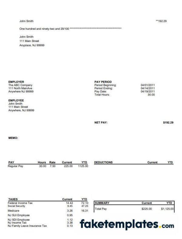 fake North Main Avenue pay stub download Word and PDF template