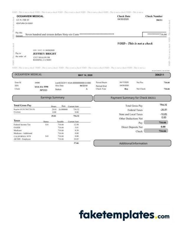 fake Oceanview medical paystub download Word and PDF template