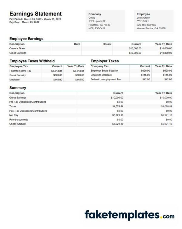 fake Ontop company earnings statement download Word and PDF template