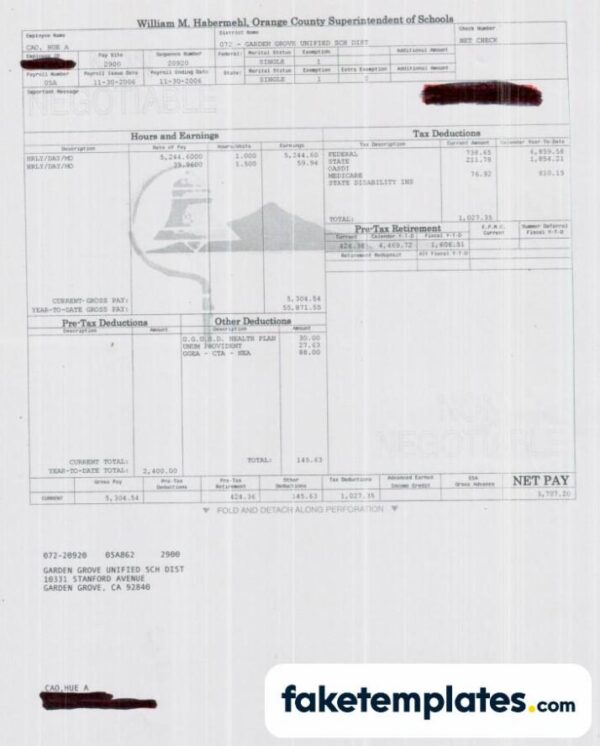 fake ORANGE COUNTY SUPERINTENDENT OF SCHOOLS pay stub download Word and PDF template