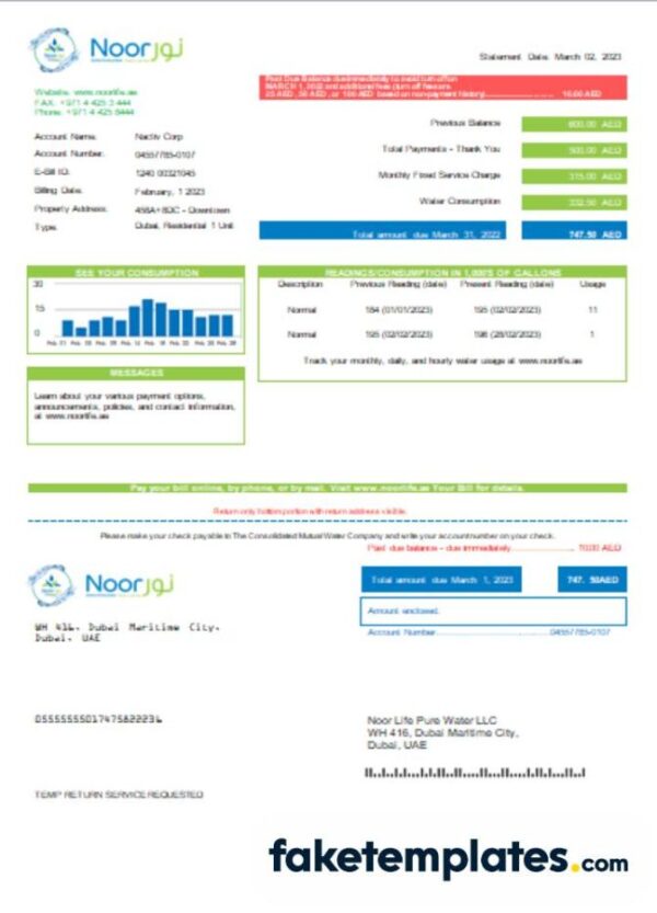 fake Noor Life Pure Water LLC business utility bill,download Word and PDF template