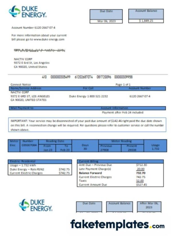 fake North Carolina Duke Energy business utility bill, download Word and PDF template